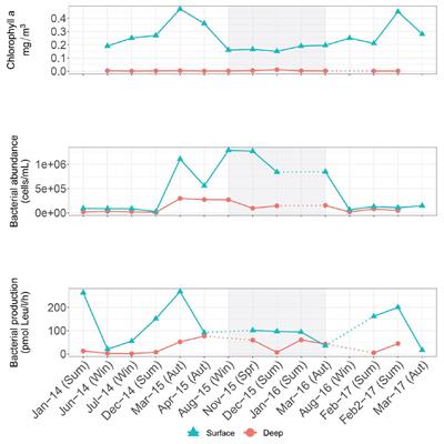 Seasonal Prokaryotic Community Linkages Between Surface and Deep Ocean Water
